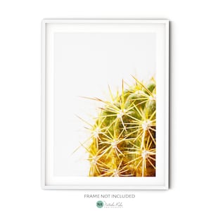 Boho Kaktus Wandkunst, grüner Kaktus Poster, abstrakter botanischer Kunstdruck, minimalistische Naturfotografie, moderne Southwestern Deko