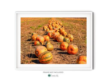 Fotografía de campo de calabazas, fotografía artística de otoño, arte mural de paisaje otoñal, póster de época de cosecha, decoración rústica de casa de campo para Acción de Gracias.