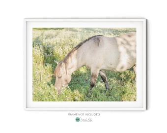 Fotografía de caballo salvaje beige || Póster grande de caballo para pared, impresión de vida silvestre para decoración campestre o como regalo para amantes de los caballos