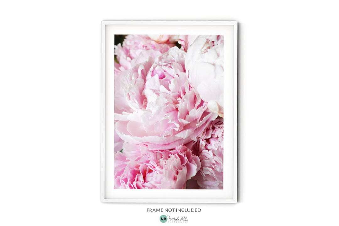 Blush Pink Peony Print, Fine Art Flower Photography, Pastel Pink Floral ...