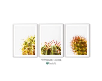 Green Cactus Print Set, Fine Art Cactus Photography, Minimalist Botanical Gallery Wall Set of 3 Prints, Modern Southwestern Decor