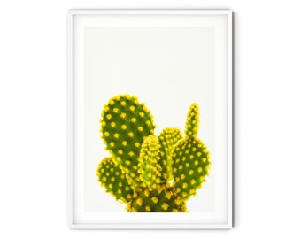 Minimalist Green Cactus Print, Fine Art Cactus Photography, Modern Nature Themed Wall Art, Large Botanical Art Print, Southwestern Decor
