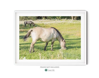 Fotografía de caballo salvaje beige || Póster grande de caballo para pared, impresión de vida silvestre para decoración campestre o como regalo para amantes de los caballos