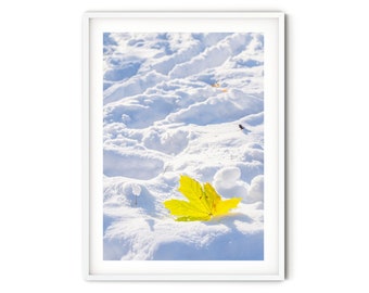 Maple Leaf in the Snow Photo, Fine Art Winter Photography, Nature Themed Wall Art, Minimalist Winter Print, Farmhouse Style Holiday Decor