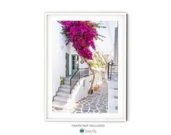 May include: A white building with a green door and a pink bougainvillea bush growing over the entrance. The building is located on a narrow street with a stone walkway.