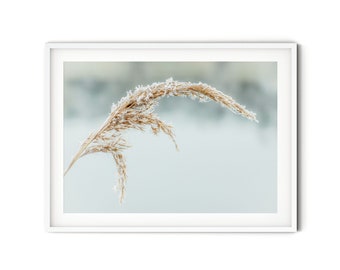 Affiche de roseau enneigé, photographie d’art d’hiver, impression d’art de flocon de neige, peinture murale minimaliste de nature, décor de maison de campagne