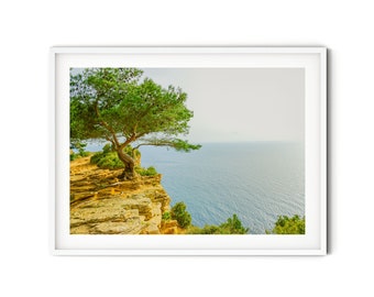 French Riviera Print, Fine Art Coastal Photography, Green Pine Tree Art Print, Cote d'Azur Landscape Wall Art, Modern Ocean Themed Decor