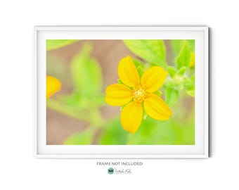 Yellow Wildflower Print, Spring Flower Photography Print, Minimalist Botanical Wall Art, Fine Art Nature Print for Modern Farmhouse Decor