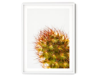 Modern Cactus Print, Fine Art Cactus Photography Print, Minimalist Botanical Wall Art, Southwestern Style Artwork, Cactus Lover Gift Idea