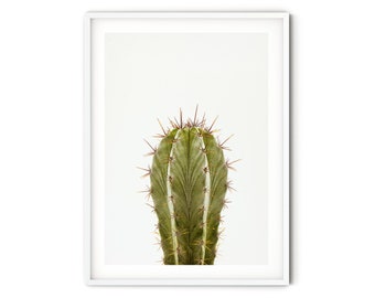 Minimalist Cactus Print, Green Desert Cactus Wall Art, Fine Art Botanical Art Print, Neutral Nature Photography, Modern Southwestern Decor