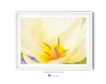 Yellow Tulip Photo Print, Spring Flower Photography Print, Botanical Wall Art for Garden Lovers, Nature Art Print for Modern Cottage Decor