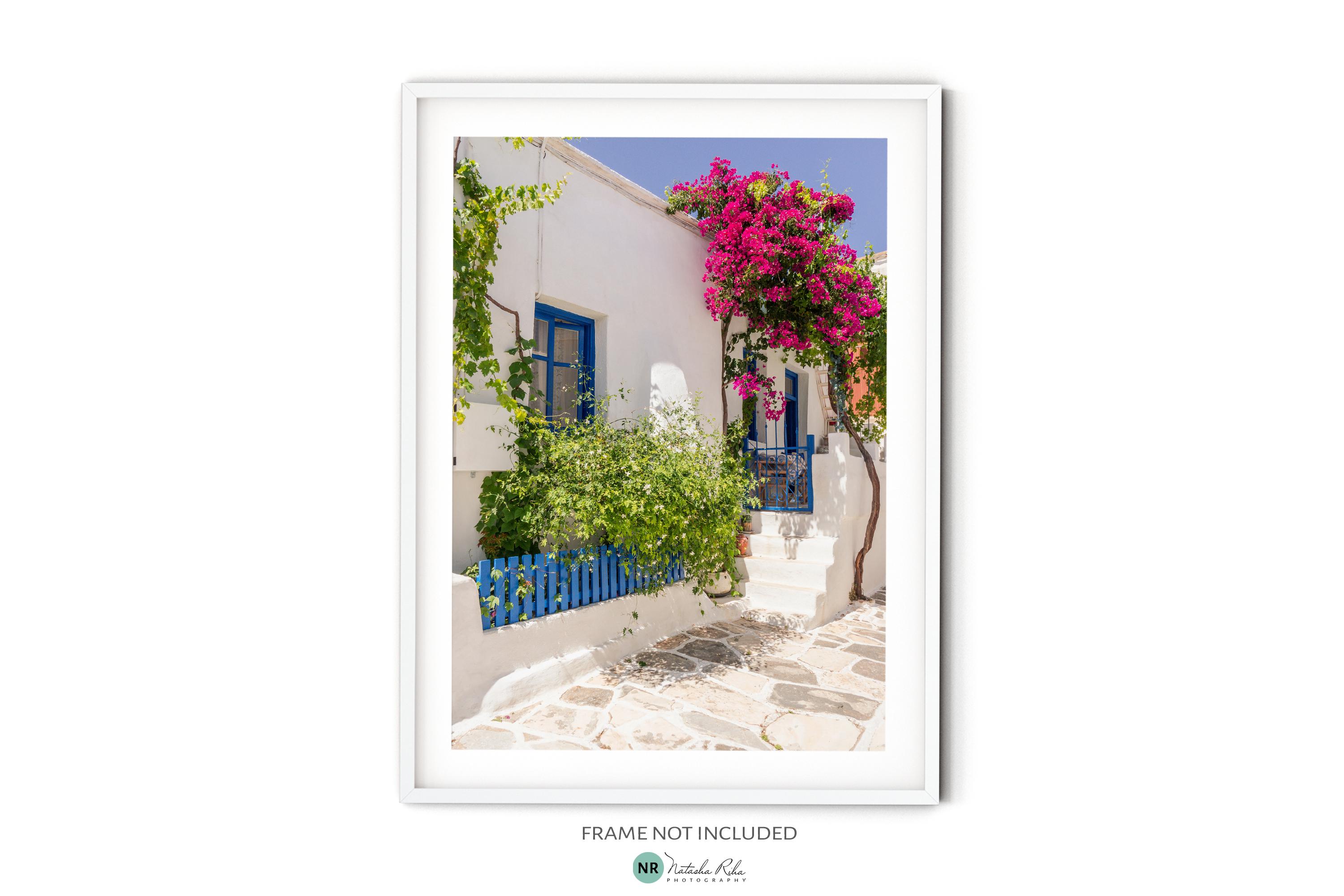 Cartel de las islas griegas, fotografía de bellas artes de Grecia, impresión fotográfica de las Cícladas, mural de buganvilla rosa, decoración de pared de estilo mediterráneo