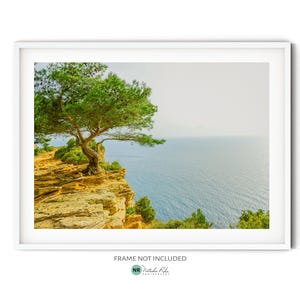 French Riviera Print, Fine Art Coastal Photography, Green Pine Tree Art Print, Cote d&#39;Azur Landscape Wall Art, Modern Ocean Themed Decor