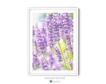Purple Lavender Print, Fine Art Lavender Photography, Botanical Wildflower Art Print, Provence Style Floral Wall Art, French Country Decor