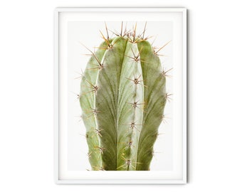 Modern Cactus Print, Fine Art Cactus Photography, Desert Style Wall Art, Boho Botanical Art Print, Minimalist Southwestern Decor