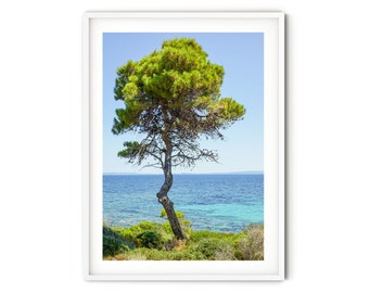 Green Pine Tree Wall Art, Halkidiki Coast Photo Print, Fine Art Greece Photography, Turquoise Ocean Print, Mediterranean Style Coastal Decor