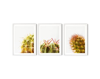 Green Cactus Print Set, Fine Art Cactus Photography, Minimalist Botanical Gallery Wall Set of 3 Prints, Modern Southwestern Decor