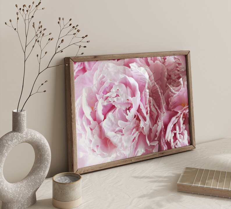 Blush Pink Peonies Print - Fine Art Flower Photography Print Wall Art ...