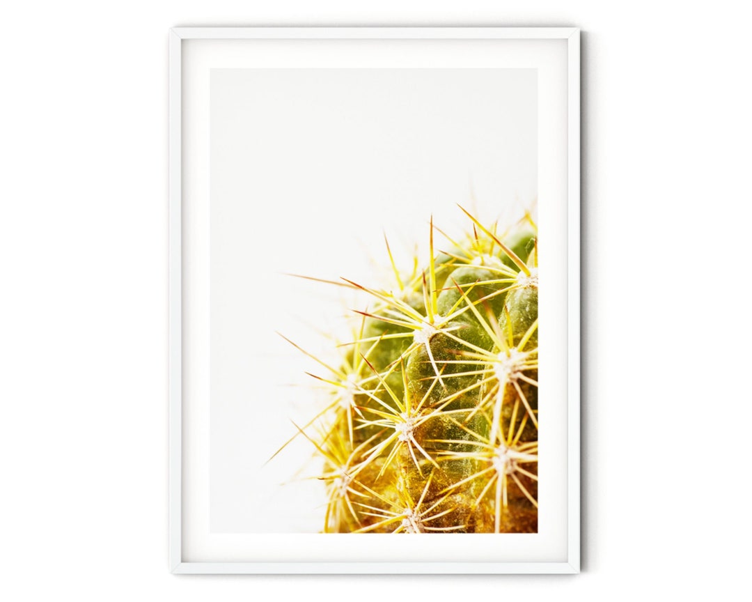 Boho Cactus Wall Art, Green Desert Cactus Poster, Abstract Botanical