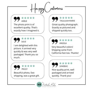 May include: Five customer reviews with five stars each. Each review is in a white box with a teal border and a quote mark in the top left corner. The reviews are from Adele, Julie, Tallulah Marie, Angela, and Junebug. The text "Happy Customers" is at the top of the image.