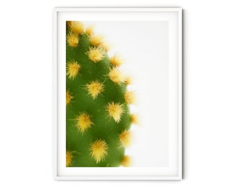 Abstract Cactus Print, Fine Art Cactus Photography Print, Green Succulent Wall Art, Desert Style Home Decor, Minimalist Southwestern Decor