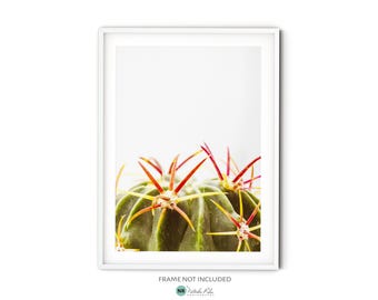 Modern Green Cactus Print, Fine Art Cactus Photography, Large Botanical Art Print, Desert Inspired Wall Art, Minimalist Southwestern Decor