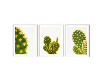 Abstract Cactus Print Set, Fine Art Cactus Photography, Minimalist Botanical Gallery Wall Set of 3 Prints, Modern Southwestern Decor