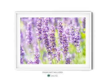 Purple Lavender Print, Fine Art Lavender Photography, Botanical Wildflower Art Print, Provence Style Floral Wall Art, French Country Decor