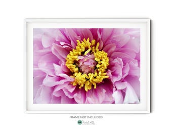 Pink Peony Print, Fine Art Peony Photography, Pastel Floral Wall Art, Large Flower Art Print, Romantic Modern Cottage Decor