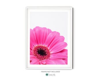 Pink Gerbera Daisy Flower Photography Print || Minimalist Modern Floral Wall Art Poster for Romantic or Feminine Room Decor