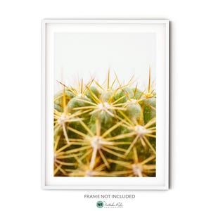 Moderne Kaktus Wandkunst, grüner Kaktus Poster, abstrakter botanischer Kunstdruck, minimalistische Naturfotografie, Boho Southwestern Deko