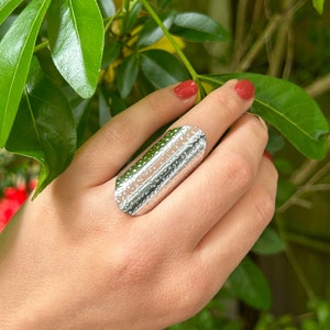 Può includere: Un anello color argento con superficie strutturata. L'anello è allungato e copre una parte significativa del dito. Il design presenta una serie di linee orizzontali e motivi a puntini. L'anello è esposto su uno sfondo di fogliame verde.