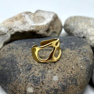 May include: A gold-colored, open-design ring with an abstract, organic shape. The ring is adjustable and sits on a gray and brown stone. The ring's design features multiple openings, creating a unique and modern aesthetic.