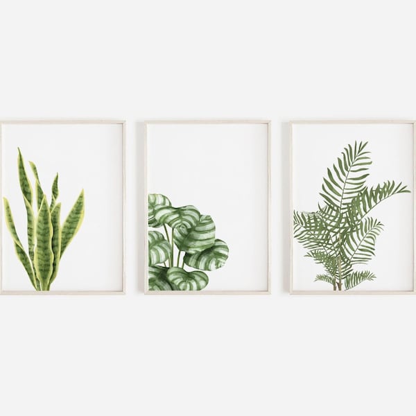 Botanical Plant Prints Set: Hand Drawn Watercolor Illustration