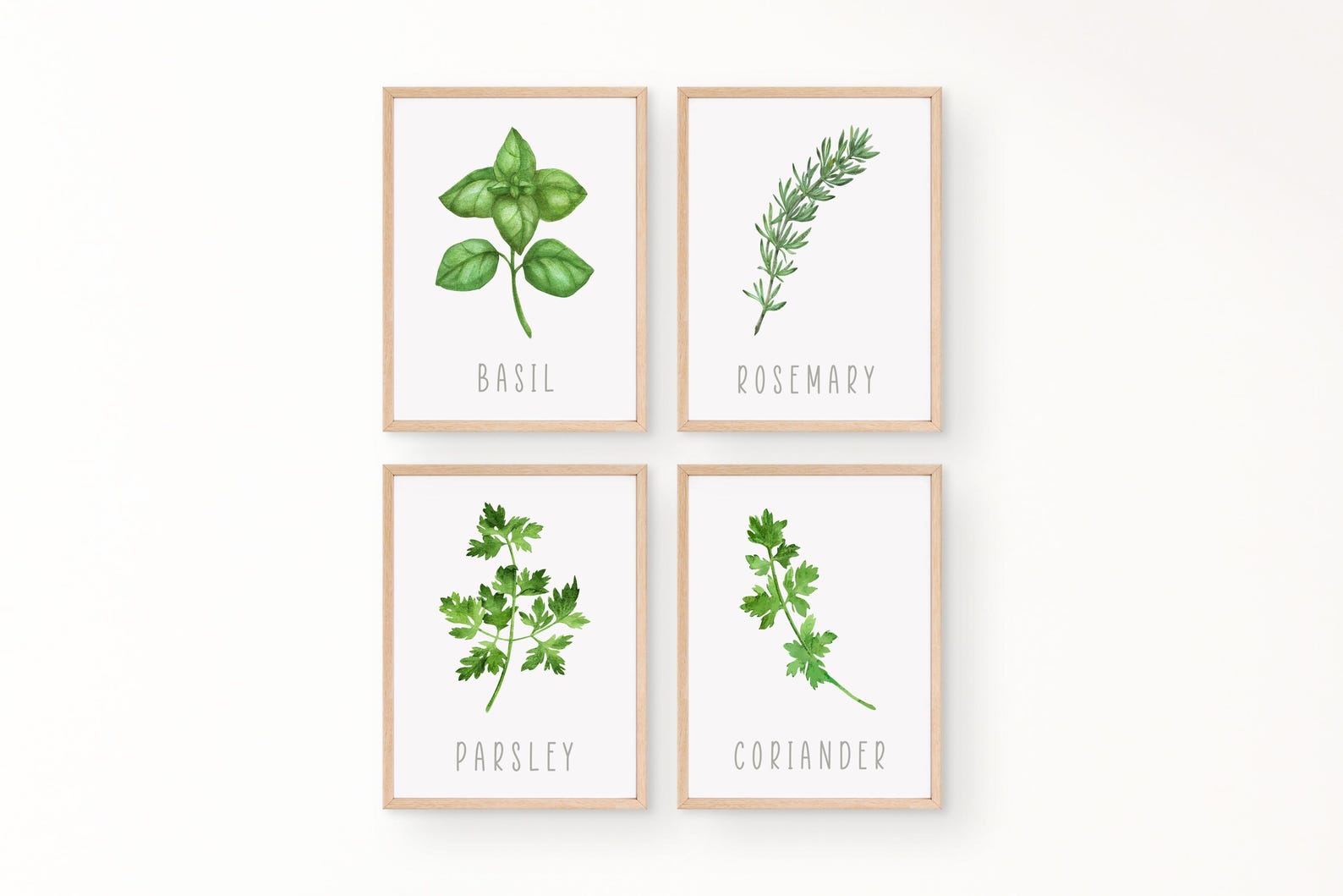 Herb Watercolor Prints: Kitchen Wall Art, Set of 4 - Etsy