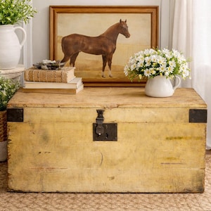 Puede incluir: Un ba&uacute;l de madera envejecida con detalles de metal negro y una cerradura central. El ba&uacute;l est&aacute; rodeado de elementos decorativos, incluyendo una pintura de caballo enmarcada, flores blancas en una jarra y plantas en macetas. Una alfombra tejida se encuentra debajo del ba&uacute;l.