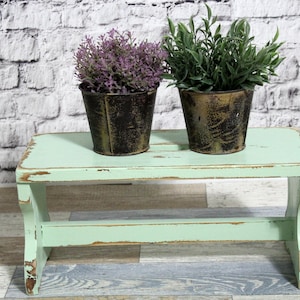 Könnte beinhalten: Ein hellgrüner Holzhocker mit abgenutzter Farbe, auf dem zwei Topfpflanzen stehen. Ein Topf ist dunkelgrün mit einer lila Pflanze, der andere ist braun mit einer grünen Pflanze.