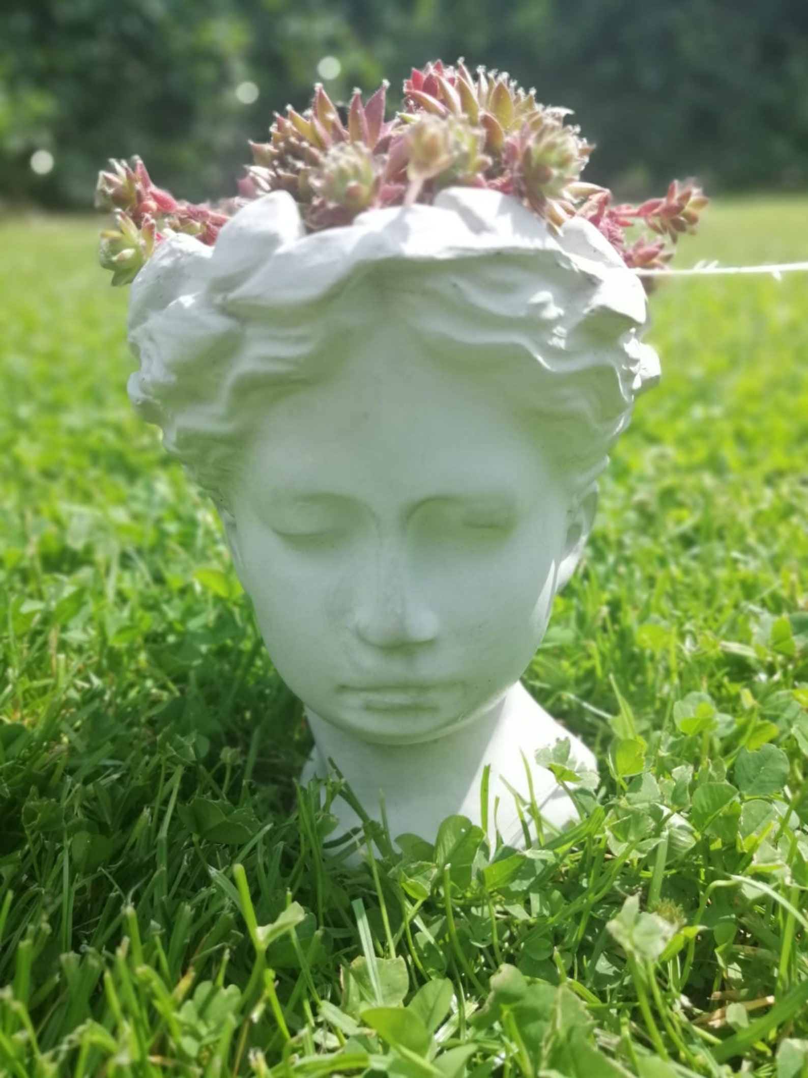 Kopf zum Bepflanzen Betondeko Pflanzkopf Pflanzgefäß Blumentopf