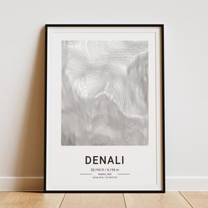 Poster de carte de contour de Denali South Peak - montagne personnalisée - votre choix - art mural impression topographie en altitude
