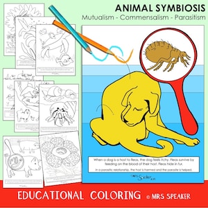 Animal Symbiosis Coloring