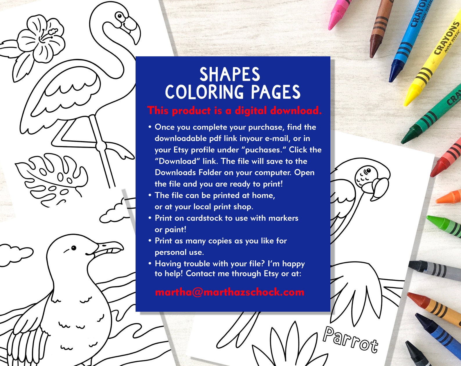 Bird Coloring Pages, Bird Coloring Sheets, Bird Identification Coloring ...