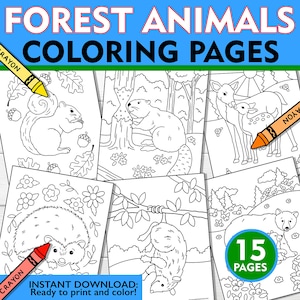 Forest Animal Coloring Pages: Woodland Friends, 15 Illustrations (PDF)