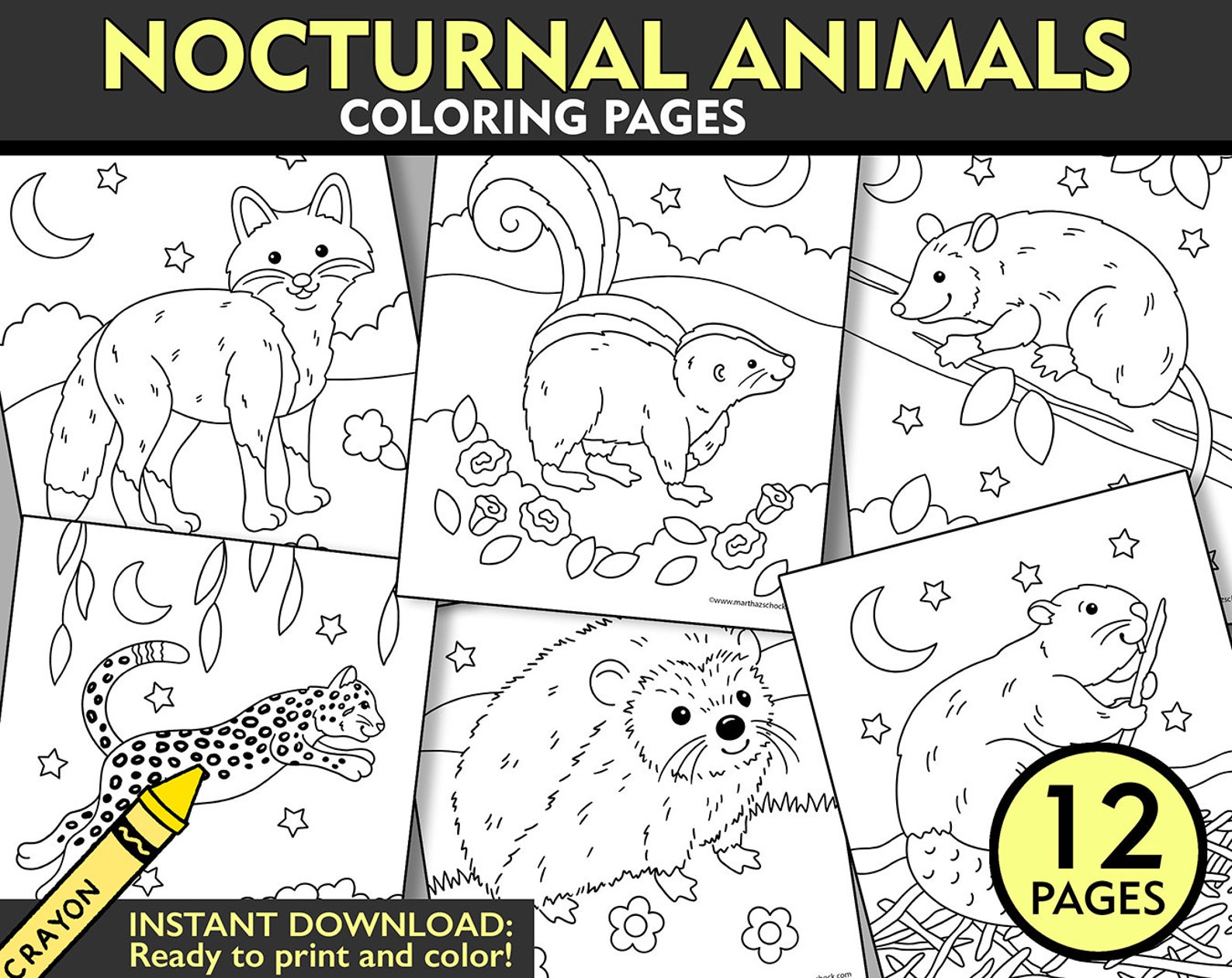 Nocturnal Animals Coloring Pages, Animals at Night, Nocturnal Animals ...
