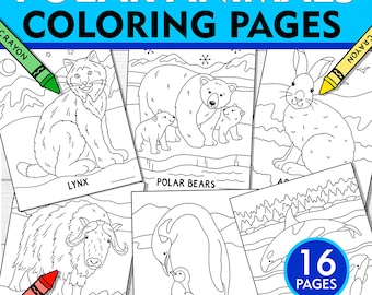 Arctic Animals Coloring Pages: 16 Winter Printables (PDF)