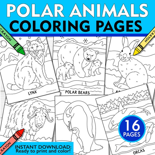 Arctic & Polar Animals Coloring Pages, Polar Animal Coloring Sheets, Winter Animals Coloring Pages, Kids Arctic Coloring Pages, Printables