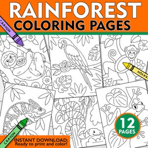 Rainforest Coloring Pages, Rainforest Coloring Sheets, Kids Rainforest Coloring Pages, Kids Rainforest Coloring Book, Rainforest Printables