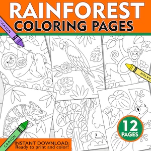 Rainforest Coloring Pages, Rainforest Coloring Sheets, Kids Rainforest Coloring Pages, Kids Rainforest Coloring Book, Rainforest Printables