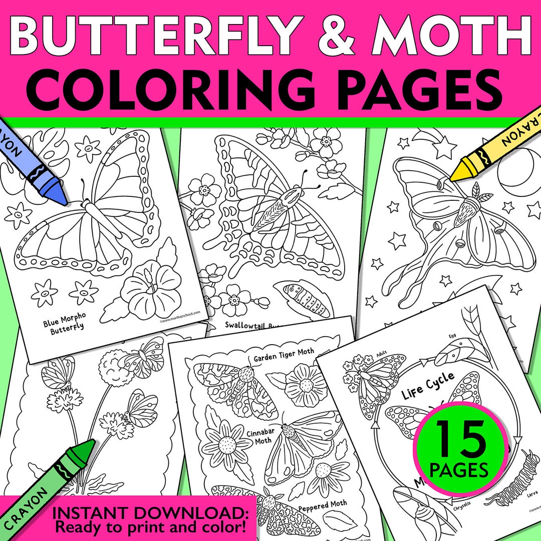 Butterfly and Moth Coloring Pages, Butterfly Life Cycle Printable ...