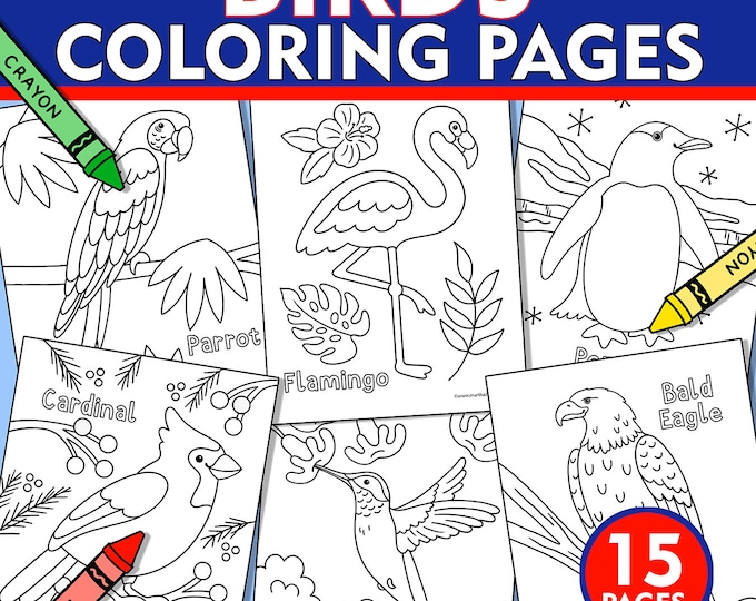 Printable Bird Coloring Pages for Kids and Adults | 70 Pages | Instant ...