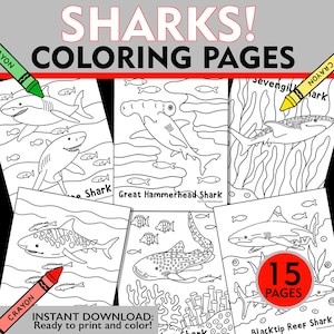 Shark Coloring Pages: Shark Week Activity, 15 Printable Designs (PDF)